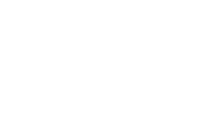 iris-logo-portfolio
