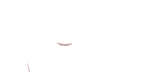 dental17-logo-portfolio